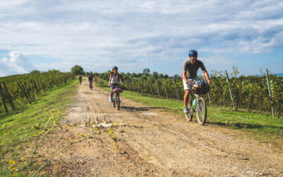Bike Fest 2025: grazie a chi ha sfidato pioggia e mota