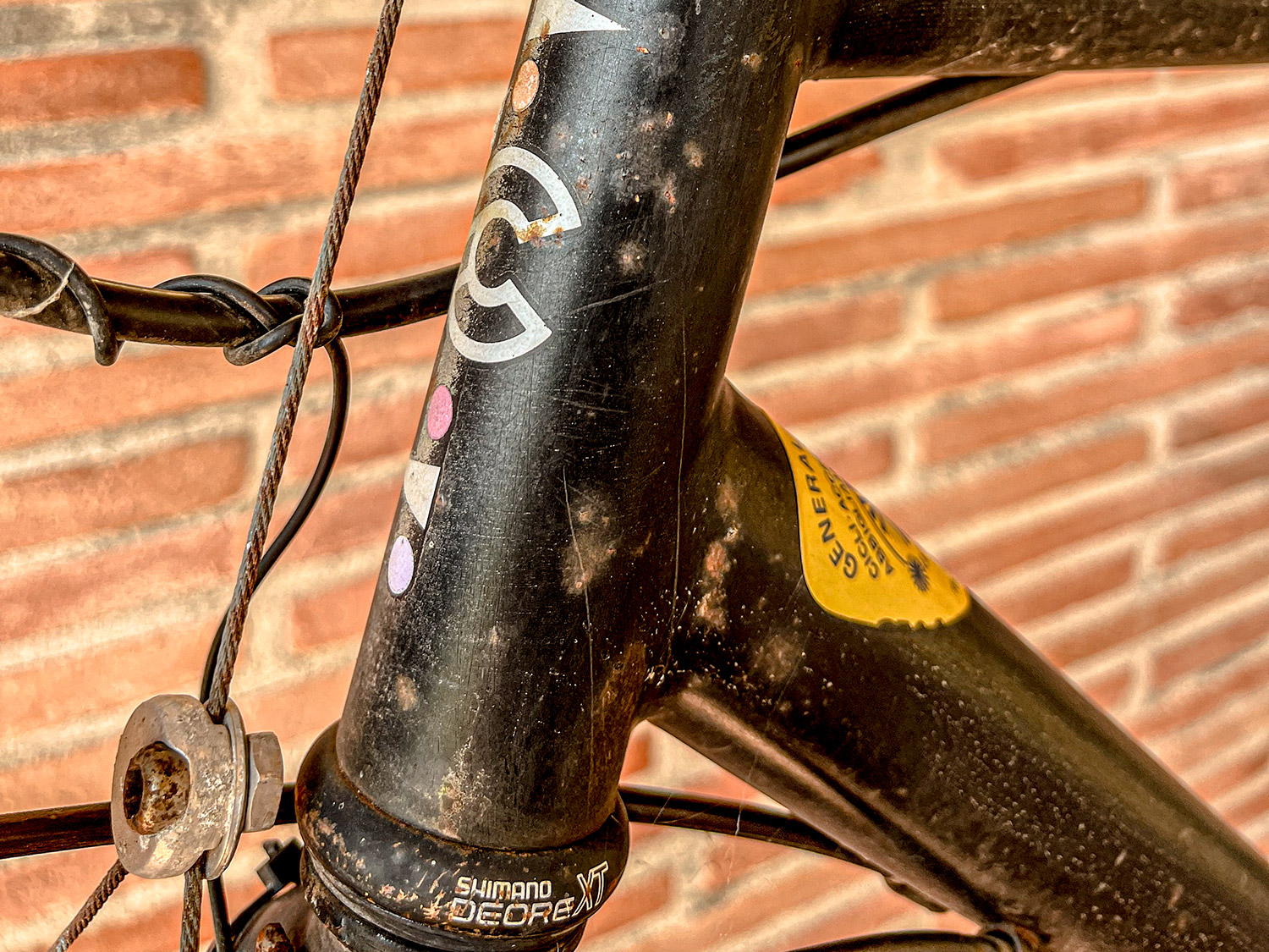 MTB vintage del gruppo Cantilovers - immagine provvisoria capitolo 1
